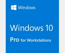Windows 10 Pro for workstation