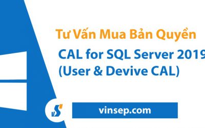 Tư vấn mua CAL cho SQL Server bản quyền