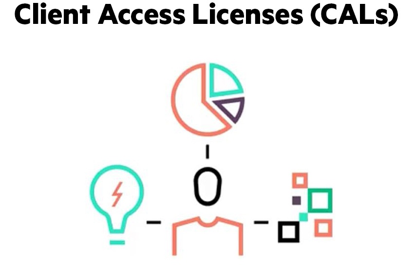 Client Access Licenses (CALs) là gì? Tại sao cần mua bản quyền?