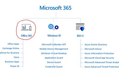 So sánh Microsoft (M365) vs. Office (O365)