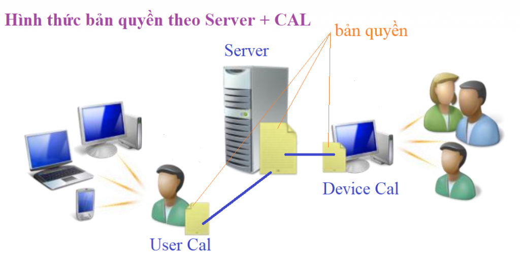 Hình thức bản quyền Server + Cal - Project Server 2019
