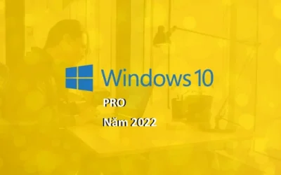 Mua Windows 10 Pro – Tháng 01 năm 2022