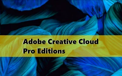 Adobe Creative Cloud Pro Edition | Gói Siêu Đặc Quyền