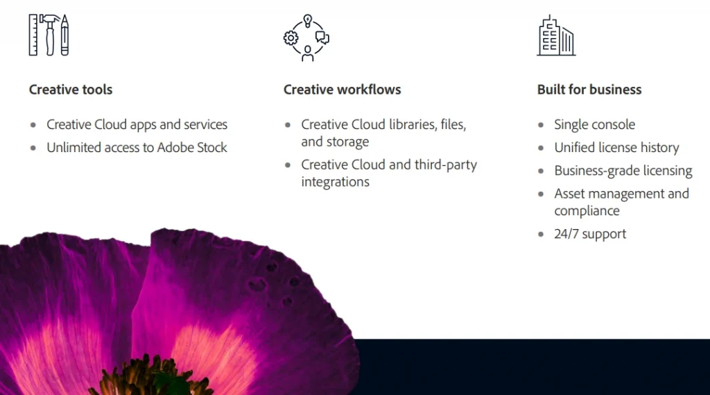 Adobe Creative Cloud Pro Edition là gì?