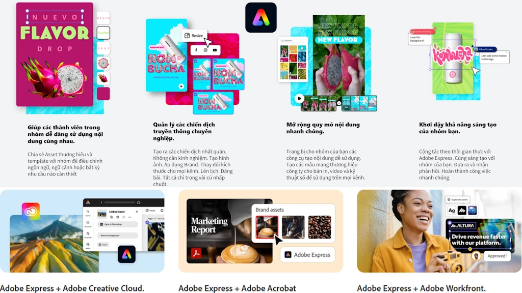 Bản quyền Adobe Express là gì?